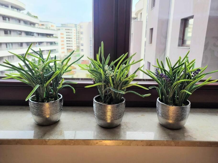 Apartment Sophie 3 Rooms, 2 Bathrooms, 8 Persons Cracóvia Exterior foto